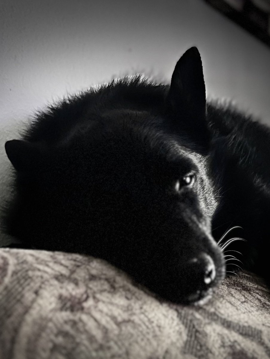 Summer afternoon nap!