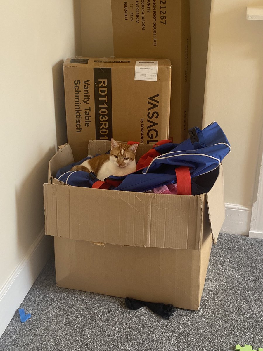 binkywinkywoo's tweet image. your majesty’s throne