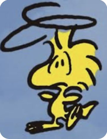 linneatova's tweet photo. @noel_liebt_cleo Menno falsches GIF wollte Dir doch meinen lieben Woodstock schicken… https://t.co/6cOkKSGVyE