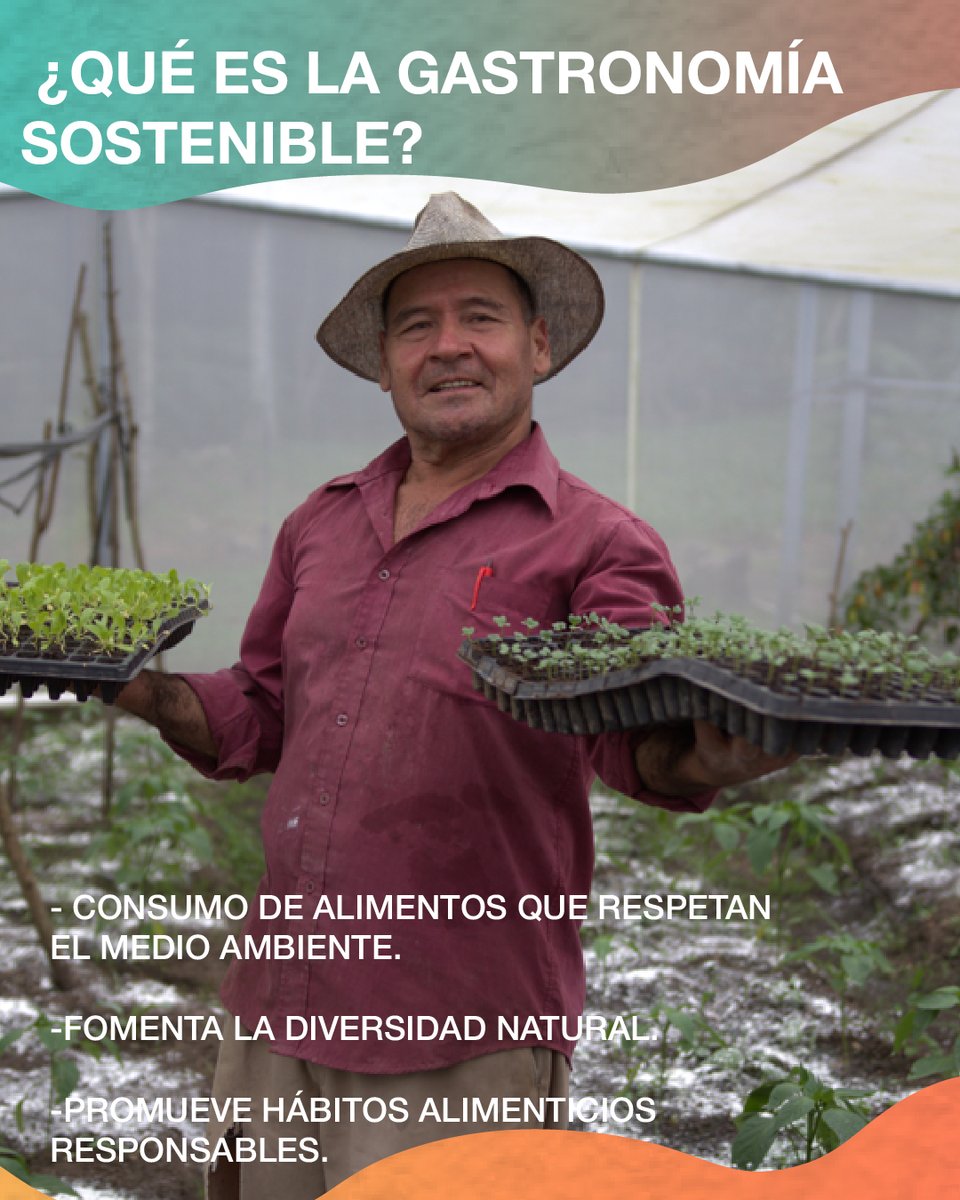 pronaders_hn's tweet image. 🧑🍳🌱 En el #DíaDeLaGastronomíaSostenible, el #GobiernoRefundacional a través de #SAG_PRONADERS está en la vanguardia, 👩🌾 de la mano con los productores 👇