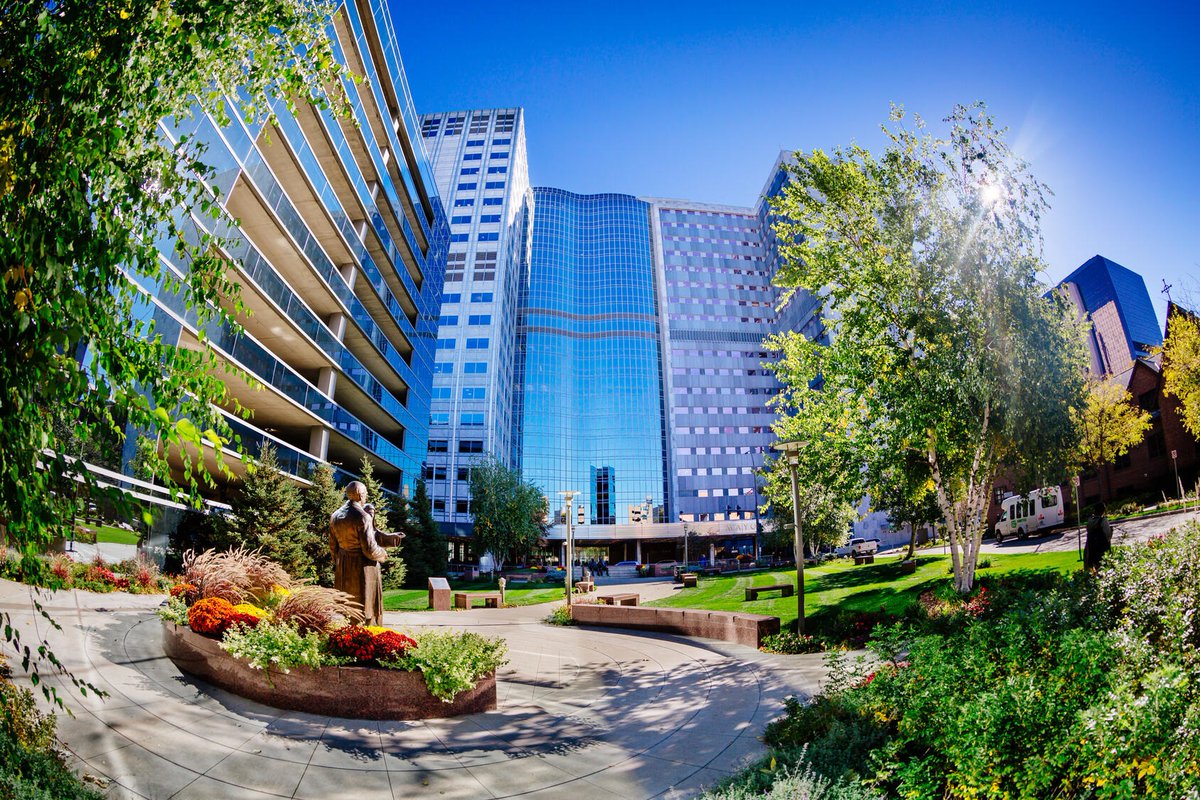 Mayo Clinic Urology tweet media