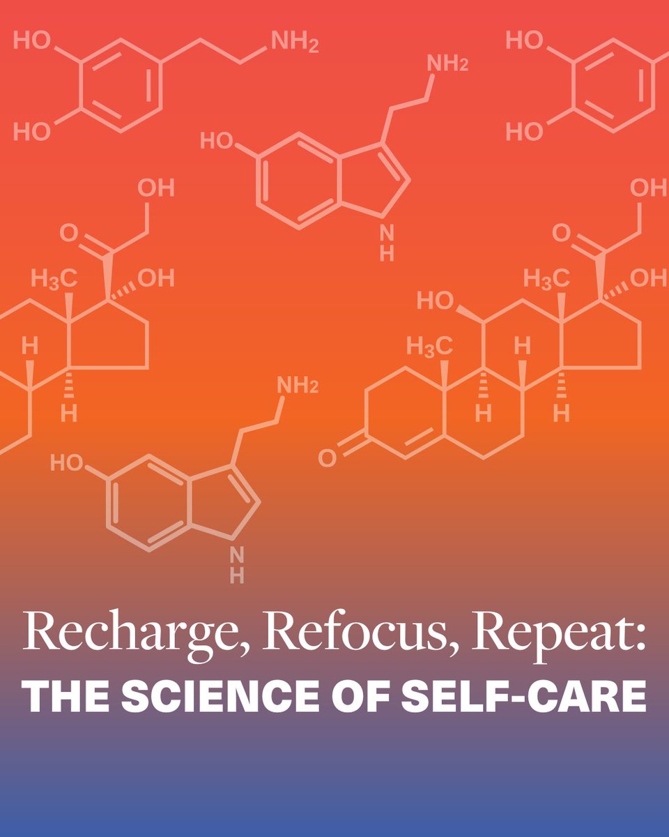 San Diego Squared (SD2) tweet media