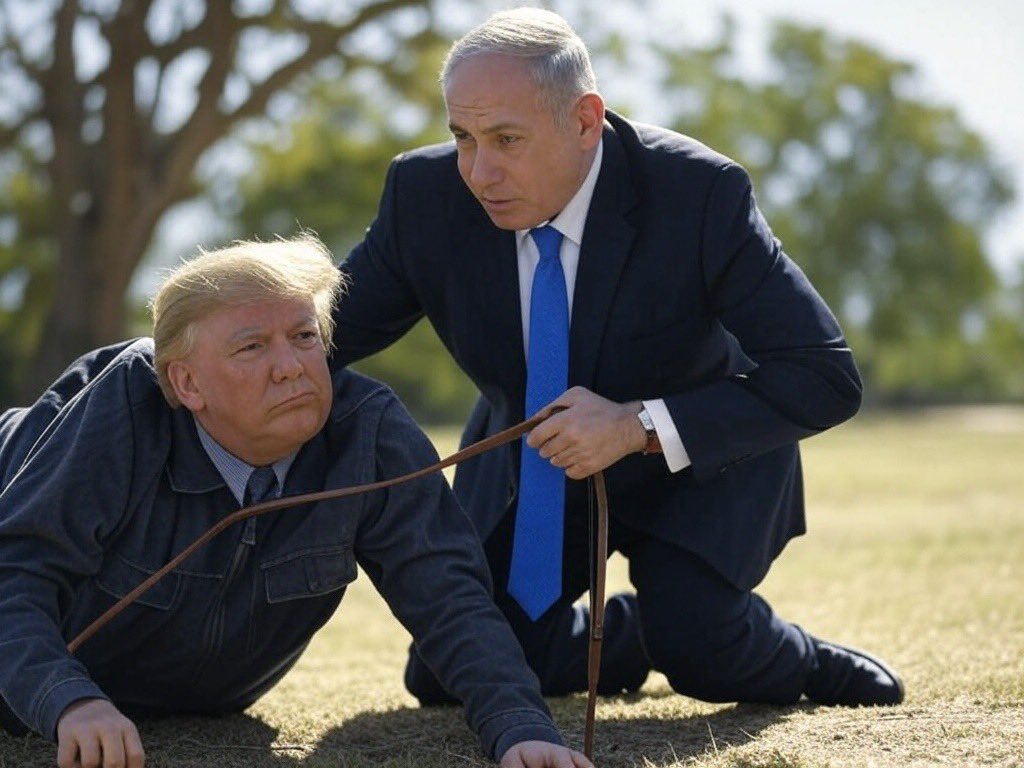 deros_YB's tweet photo. @realDonaldTrump https://t.co/JQNL8KAf6t