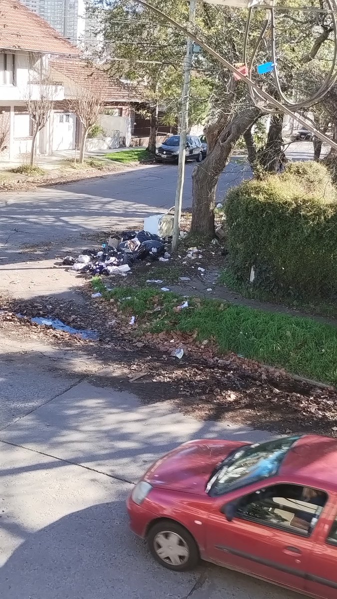 ANARIVIERI's tweet photo. @munimardelplata BALCARCE Y PRIMERO DE MAYO. Un verdadero basural! https://t.co/hhtdx1F1Ef
