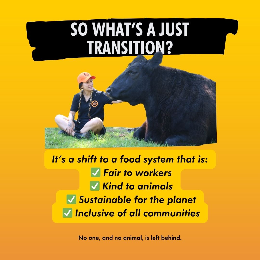 📣 It's time for change.

Countries with high meat and dairy consumption must lead the way by reducing animal product consumption and phasing out industrial-scale farming.

Major meat, dairy, and seafood corporations MUST be held accountable for their environmental damage, social