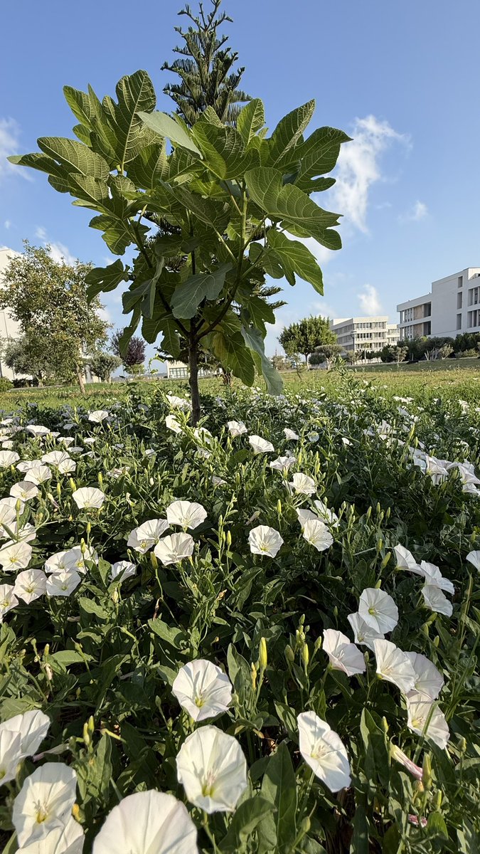 Lao Tzu diyor ki:
Bir saatliğine mutlu olacaksanız ,
şekerleme yapın.
Bir günlüğüne mutlu olacaksanız ,
balık avlamaya gidin.
Bir aylığına mutlu olacaksanız ,
evlenin.
Bir yıllığına mutlu olacaksanız,
bir servete konun.
Tüm yaşam boyu mutlu olacaksanız ,
işinizi sevin.
#Geceye🌒