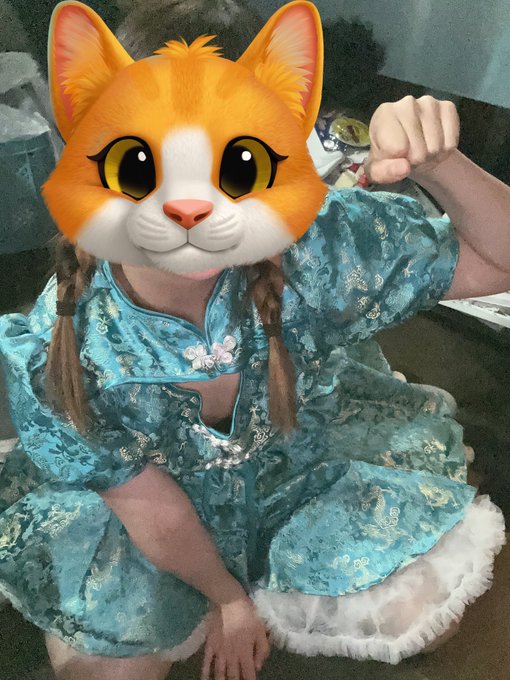 チャイニャコンカフェ桃猫堂恵比寿店