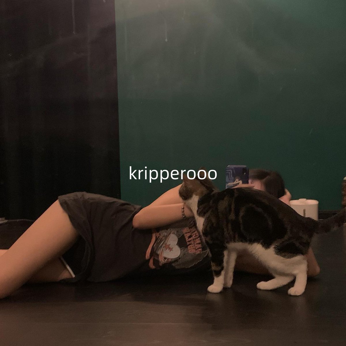 kripperooo's tweet photo. https://t.co/UqH1blArSH