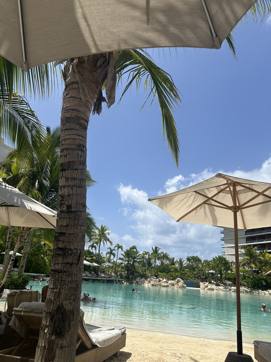 ForrestGoon's tweet image. Another day in paradise. #Honeymoon #PlayaDelCarmen