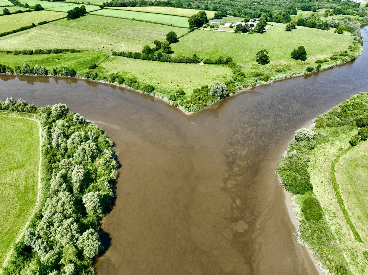 á°Éżà„źÒ Kàžà±źàžŐàžà«Òș (@kavanaghmick) on Twitter photo Where the river Nore meets the river Barrow, the border between counties #Wexford and #Kilkenny outside New Ross. <a href="/LoveKilkenny/">Visit Kilkenny</a> <a href="/kilkenny/">kilkenny</a> <a href="/visitwexford/">Visit Wexford</a> <a href="/Wexford_People/">Wexford People</a> Where the river Nore meets the river Barrow, the border between counties #Wexford and #Kilkenny outside New Ross. <a href="/LoveKilkenny/">Visit Kilkenny</a> <a href="/kilkenny/">kilkenny</a> <a href="/visitwexford/">Visit Wexford</a> <a href="/Wexford_People/">Wexford People</a>
