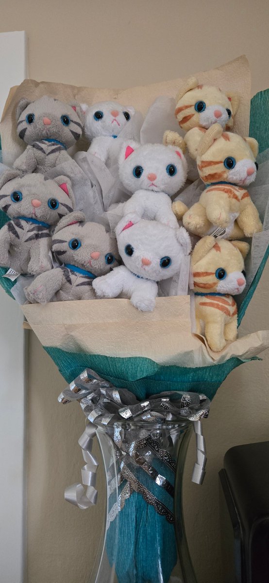 WinkProgress 🐈🐾😺 tweet media