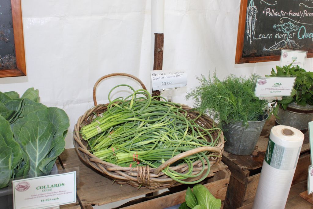 Garlic lovers, don’t wait! 🌿 We still have fresh garlic scapes 🧄 at the Farmstand—snag them while you can! Pair them with our other farm-fresh goodies before they’re gone.