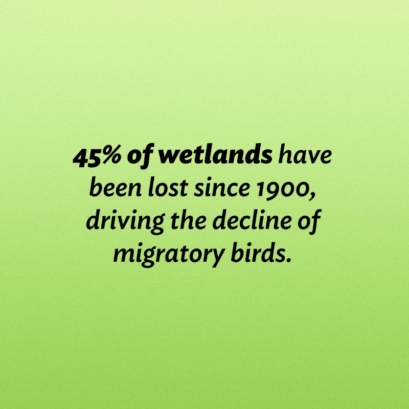 ADB_HQ's tweet photo. Asia and the Pacific’s biodiversity is vital for the well-being of 4.7 billion people.

Learn how ADB is addressing the region’s biodiversity crisis through safeguards, financing, and innovative solutions.