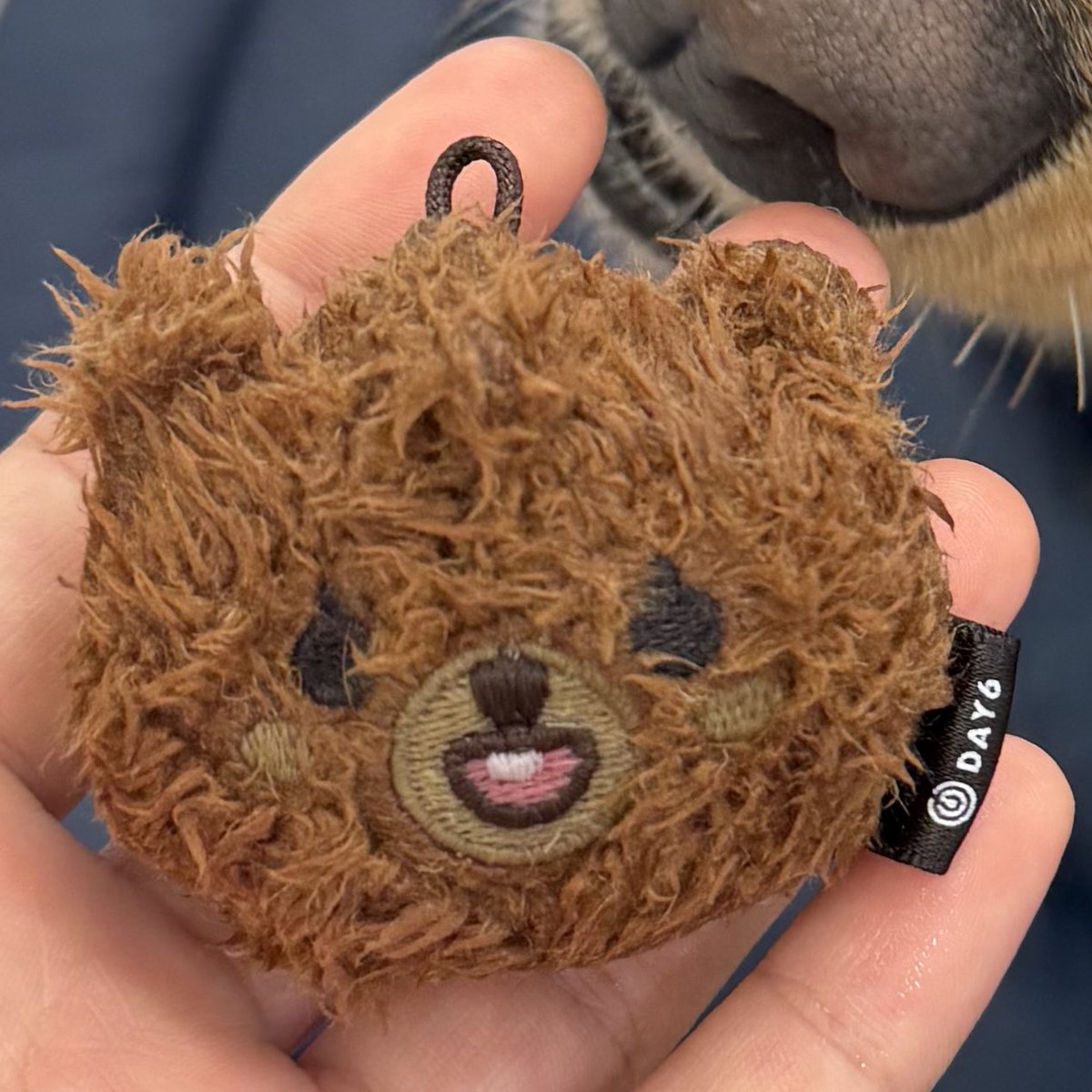 오늘 tmi 애견미용학원다니는데 오늘 리트리버께서
폰에 달려있는 방이를 물어뜯으려고함 난
결국 침범벅된 방이 강제 샤워 on

?? 돈이 안들고 다니심?
돈이는 ㅈㄴ하얘서 때탈까봐 집에 모심
방이는 갈색이라 때 안탐 ㅅㄱ