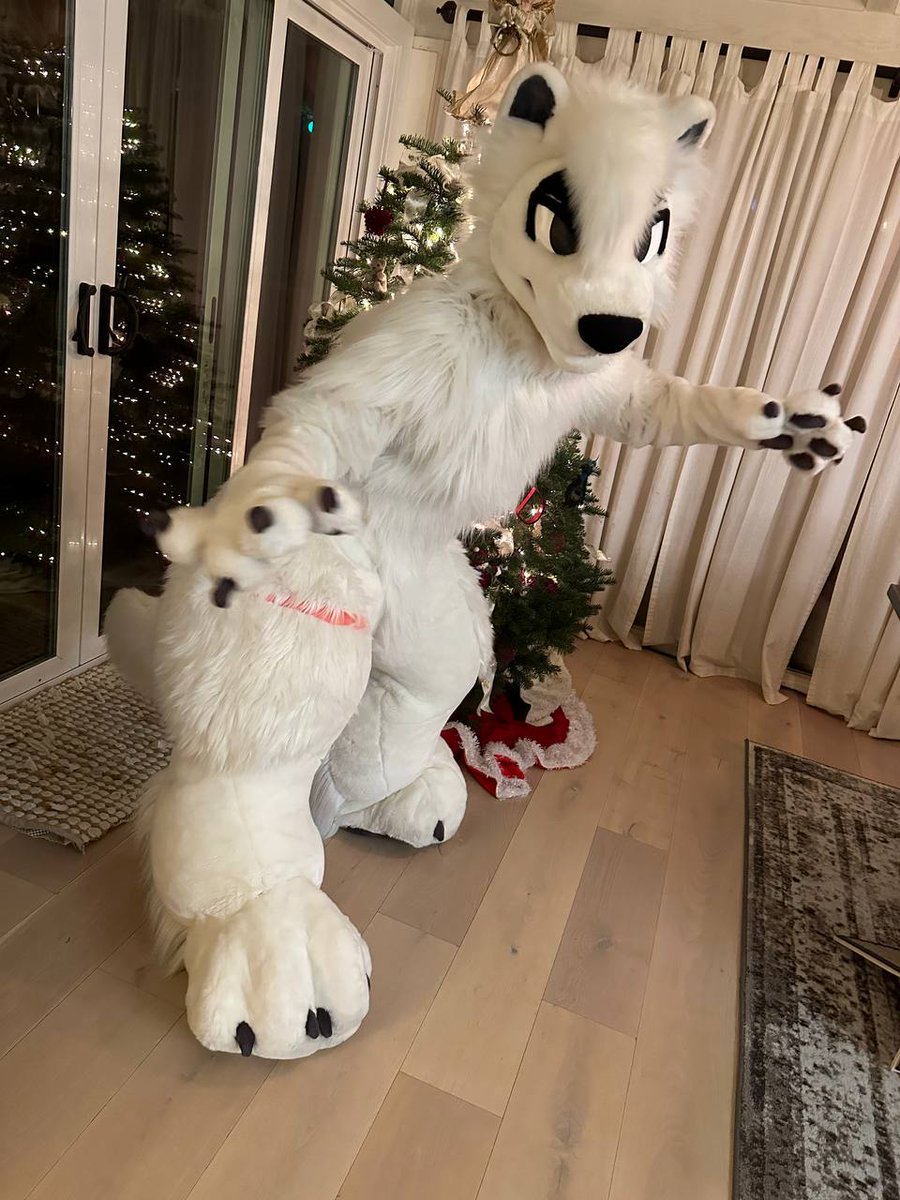 Sol_Booptastic's tweet photo. Suit vs. Suiter ✨️ https://t.co/3Bl9lWsgar