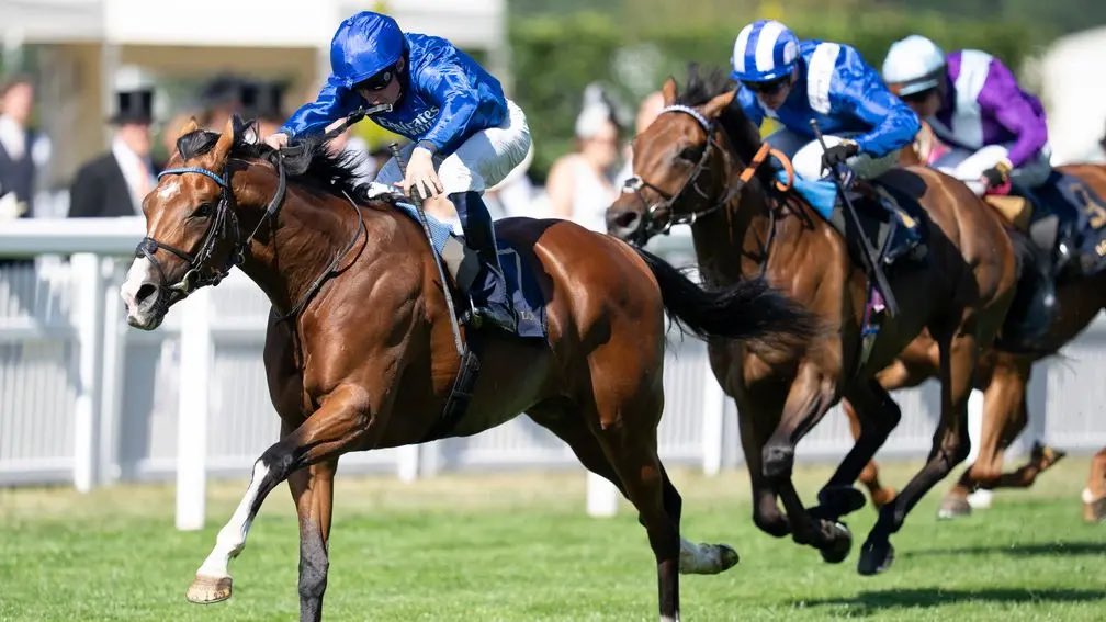 🔥 Sizzling spell for Night Of Thunder continues as Ombudsman thunders to Prince Of Wales's Stakes victory

Read more here 👉 bit.ly/45vqGBg