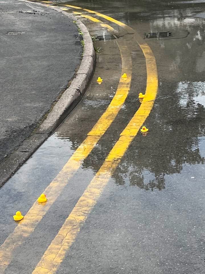 Andy Prosser tweet media