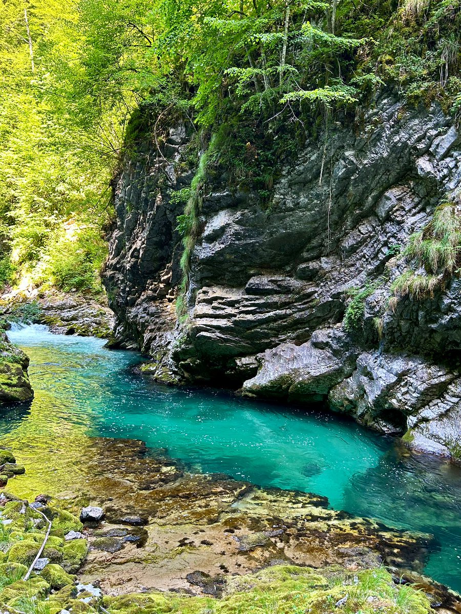 🌱☺️ Virginie ☺️🌱 tweet media