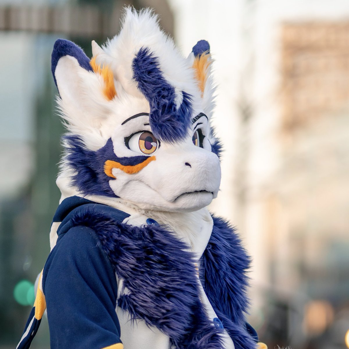 starkthedragon's tweet image. Suit vs Suiter