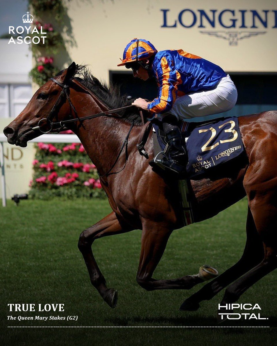 DAY 2 at #royalascot2025 🙌🎩