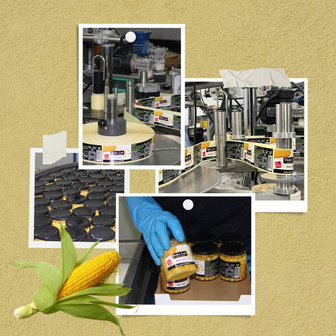 📋 En Conservas Pedro Luis cuidamos cada detalle: desde el campo hasta el etiquetado final.
✅ Controles de calidad rigurosos
🔍 Etiquetado claro y transparente
Porque tu confianza se gana con cada tarro.
#CalidadPedroLuis #ConservasConGarantía