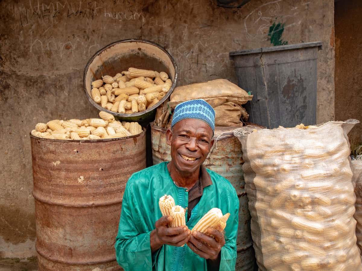 OneAcreFund_NG's tweet image. Guided by training, our farmers plant for maximum yields.

We’re not just giving inputs, we’re growing knowledge that drives results.🌾

Training + Inputs = Bigger Harvests.

#SmartFarming #FarmerSupport #OneAcreFund #AgTech #GrowWithKnowledge #FarmersFirst