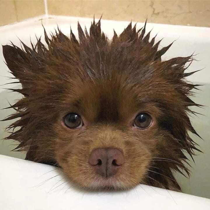 Do you think am cute?🐾💋