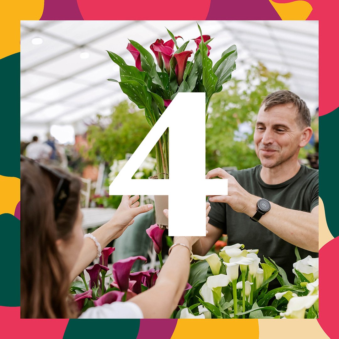 💐 4 WEEKS TO GO! 💐
Until <a href="/The_RHS/">The RHS</a>  Flower Show comes to Wentworth Woodhouse (Weds 16th to Sun 20th July)🌿
Don’t miss the debut of three young designers with their creative show gardens this summer: bit.ly/4l9uU5V