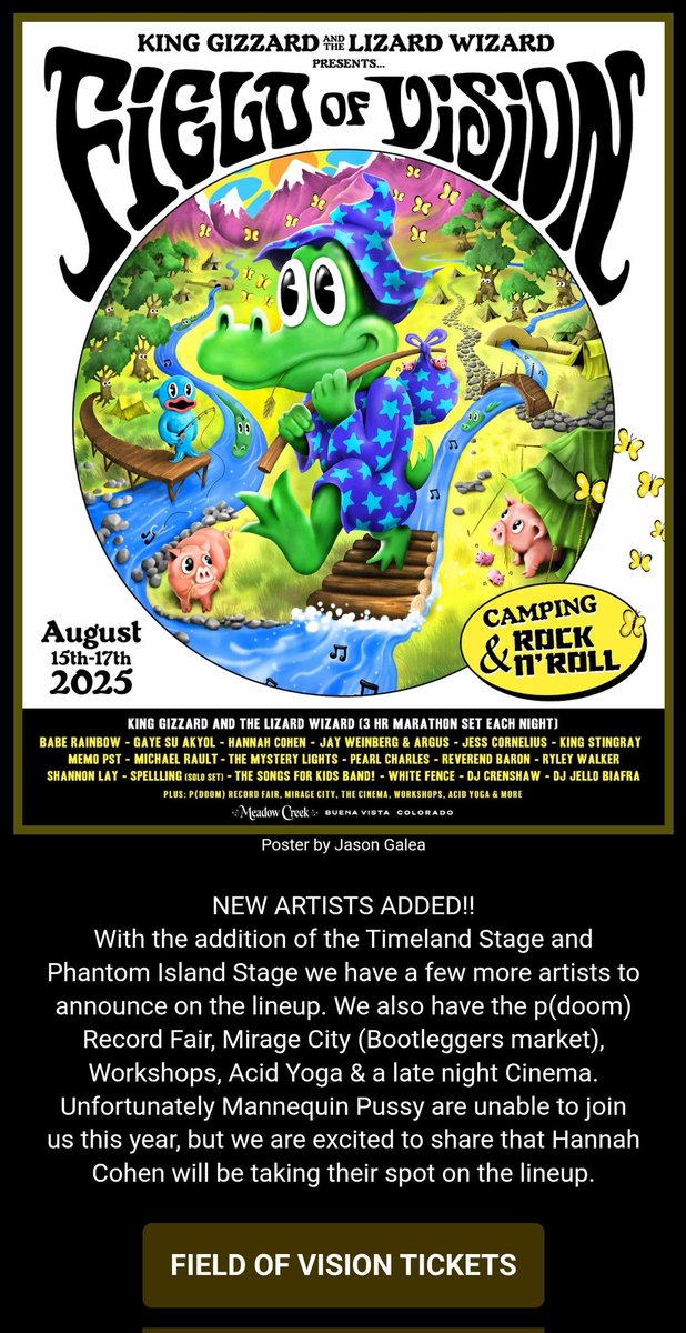 King Gizzard & The Lizard Wizard Fan Account 🦎 tweet media