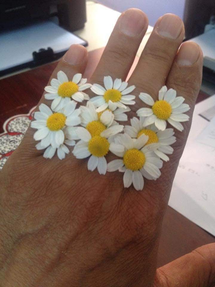 ❤
Biliyormusun,
Aklında biri var ama kollarında değil. 
Soluduğum havada, 
Saçlarını hareket ettiren rüzgarda, 
Yüzümü okşayan yağmurda, 
Sabah güneşinde hep sen varsın.
Bir zamanlar tutulan bir elin
Ilık hatırası gibi
Solgun bir papatya kaldı avucumda
Rengini senden,
Kokusunu