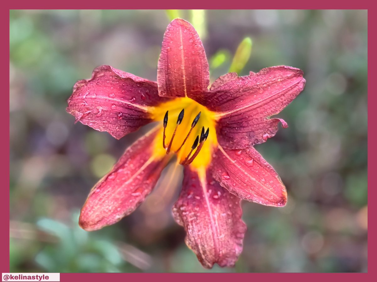 Kelina Style (@kelinastyle) on Twitter photo 