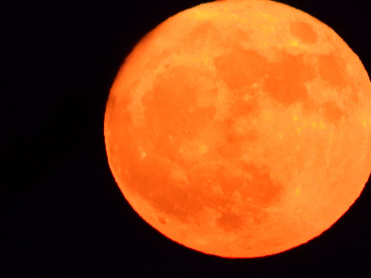 Astronomer Dan (@astronomy_dan) on Twitter photo Sorry i forgot to post this but this was the Full Flower 🌸 rising over Wolverhampton West Midlands UK on May 12th 2025. <a href="/MoonHourSocial/">#MoonHour™️Social</a> <a href="/StormHour/">#StormHour</a> <a href="/ThePhotoHour/">#ThePhotoHour</a> #FlowerMoon #fullflowermoon #Luna #Moon Sorry i forgot to post this but this was the Full Flower 🌸 rising over Wolverhampton West Midlands UK on May 12th 2025. <a href="/MoonHourSocial/">#MoonHour™️Social</a> <a href="/StormHour/">#StormHour</a> <a href="/ThePhotoHour/">#ThePhotoHour</a> #FlowerMoon #fullflowermoon #Luna #Moon