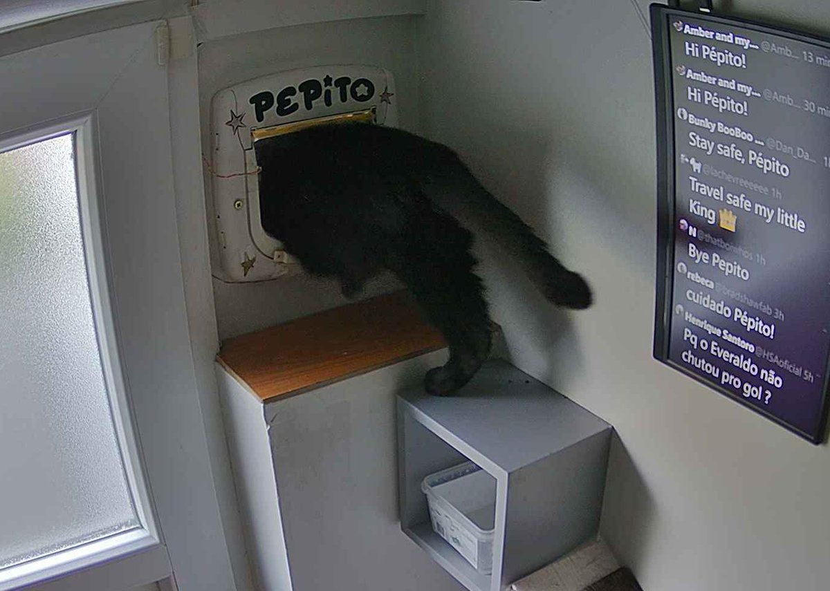 Pépito tweet media