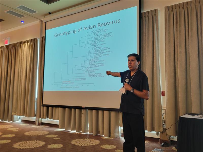 IBH is more common than we think. Dr. Novy reminded us it’s the 3rd most common health issue and covered vax strategies + environmental control.

Dr. Haq followed with a deep dive into viral arthritis—really cool to see how viral “family trees” inform prevention.
