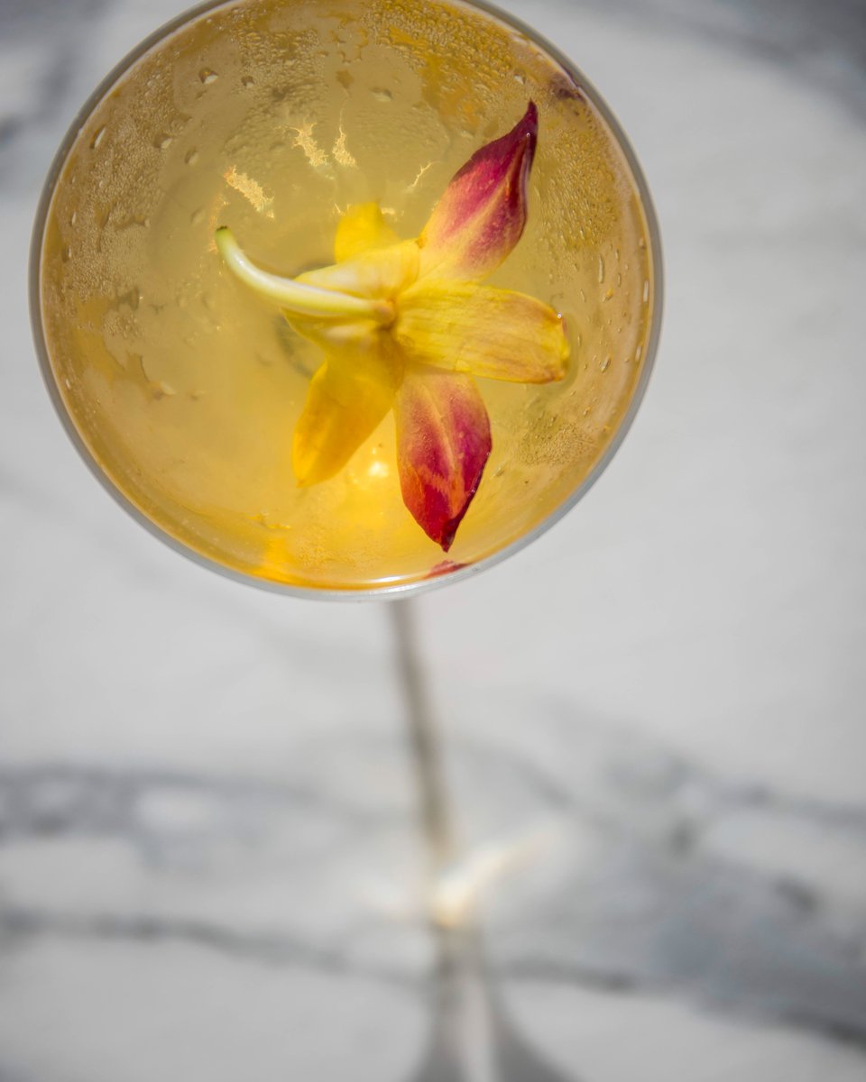Summertime tastes better up here ✨ Savor chef-curated bites and artful cocktails with a side of rooftop vibes at Aerial Kitchen &amp; Bar.