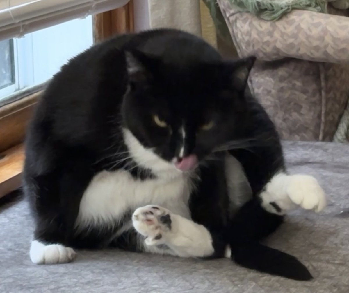 ReaganAndWonky's tweet image. me on tha innernet // tha me irl
