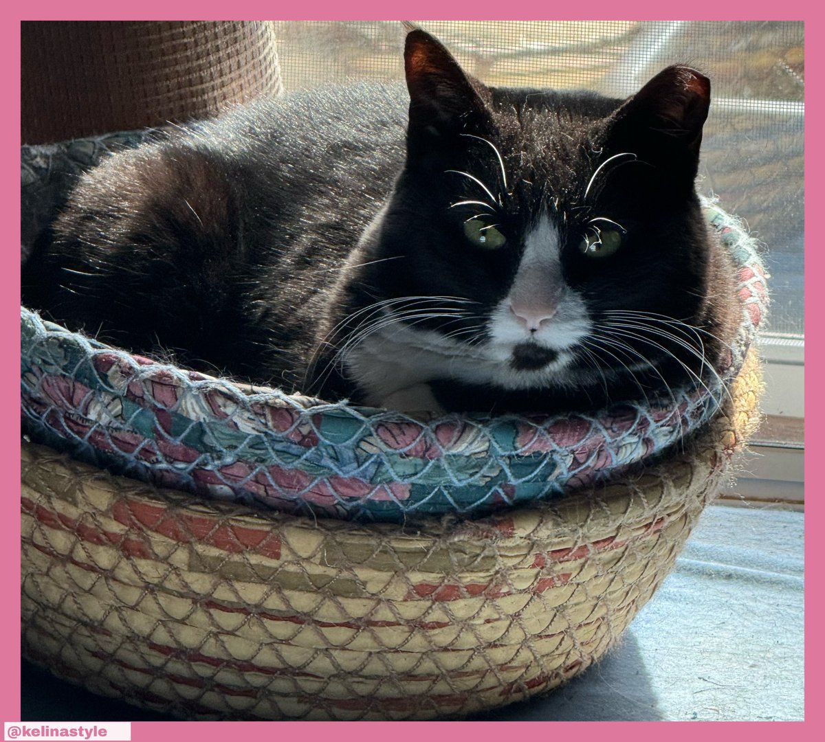 Kelina Style (@kelinastyle) on Twitter photo 