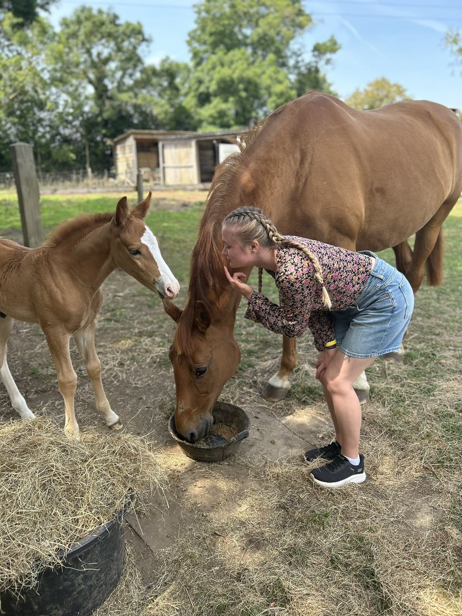Foal days