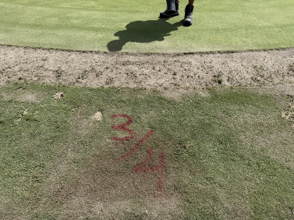 Dave Ferrin tweet media