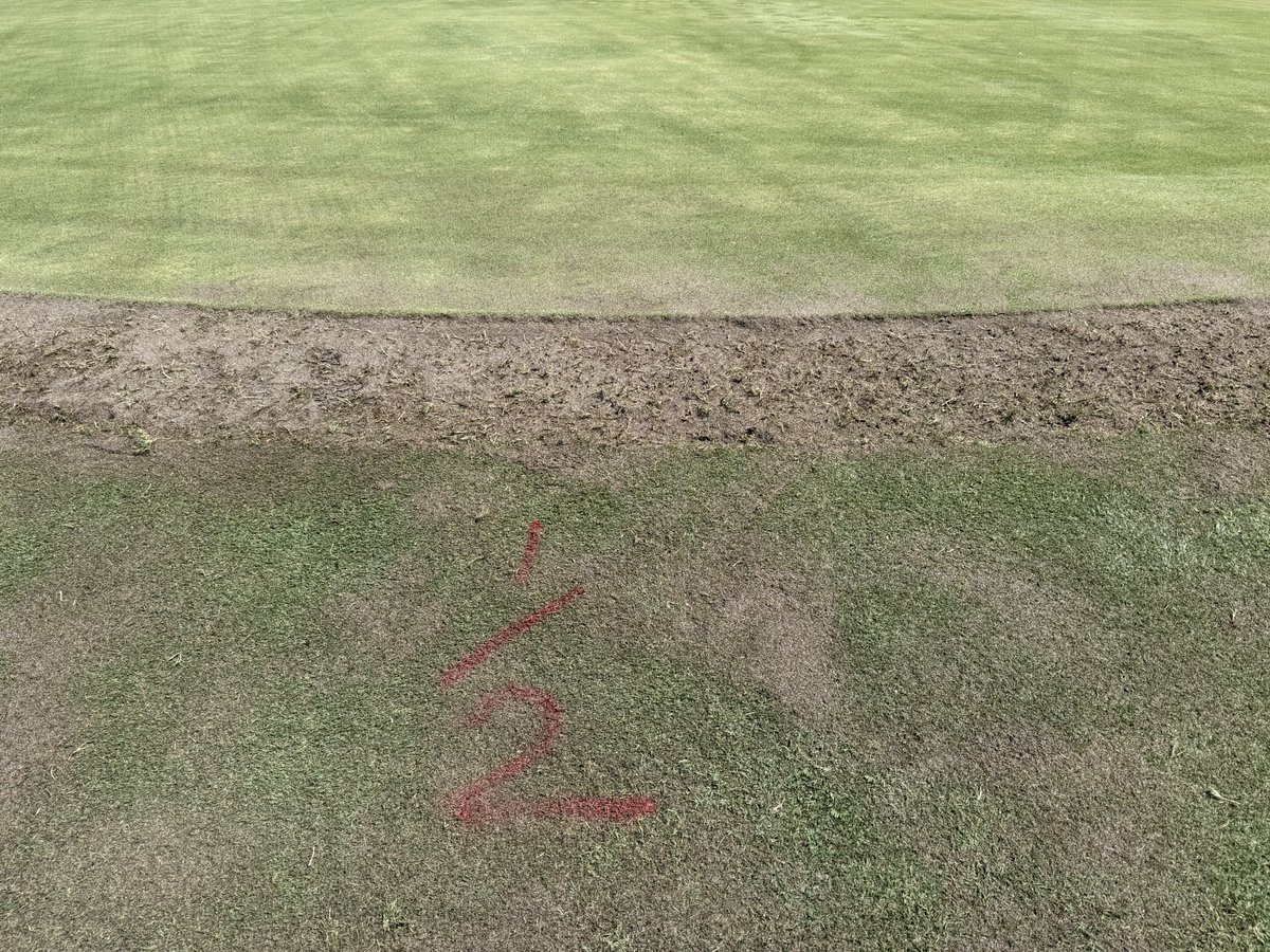 Dave Ferrin tweet media