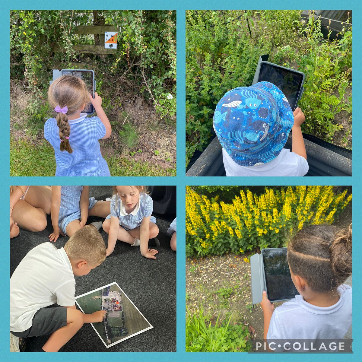 Willow took part in the National Festival of Fieldwork this week to develop their observational and investigative skills. To develop their understanding of the world around them, Willow went on a colour walk around the school grounds then recorded their findings on an aerial map.