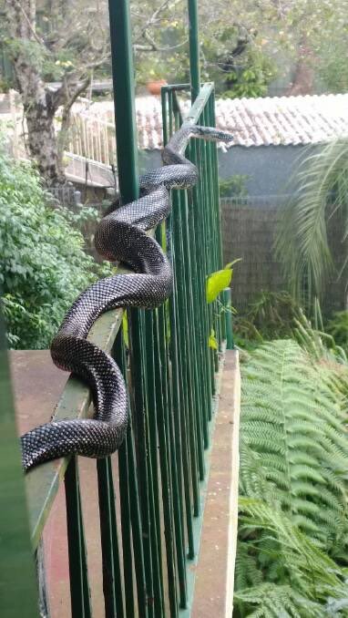 El Juez le dijo que no salga al balcon y ahi la tenes ….que las autoridades hagan algo!