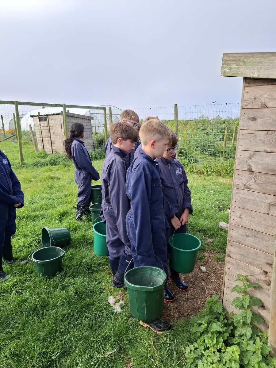 St George's CE Primary School (@stgeorgeskent) on Twitter photo Fast becoming seasoned pros <a href="/Treginnis_FFCC/">Lower Treginnis - Farms for City Children</a> #FarmersForAWeek
#LettingOurLightShine Fast becoming seasoned pros <a href="/Treginnis_FFCC/">Lower Treginnis - Farms for City Children</a> #FarmersForAWeek
#LettingOurLightShine