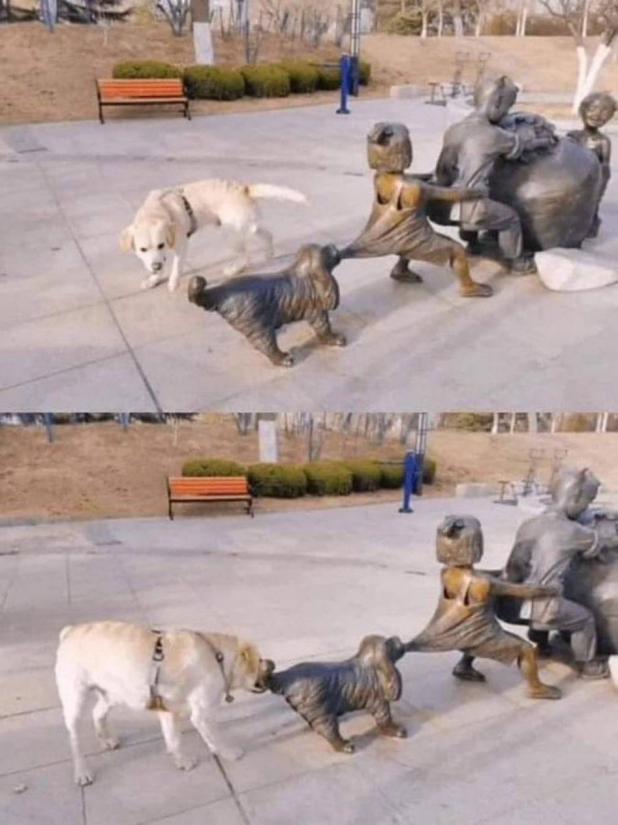 Brenda Farro (@brendafarro) on Twitter photo 