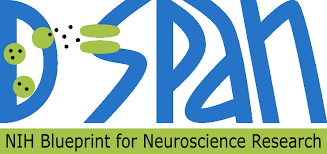 🚀 In 2016, NIH launched the D-SPAN Award to support future neuroscience leaders at every stage. Follow us for more <a href="/NIH_NINDS/">NINDS</a> milestones! 🌟🧠 #NINDS75 #ABrainCoProud