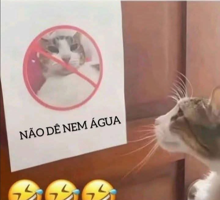 statuspararir's tweet photo. Eu voltando pra pedir emprego no meu antigo emprego https://t.co/flcBkajINo