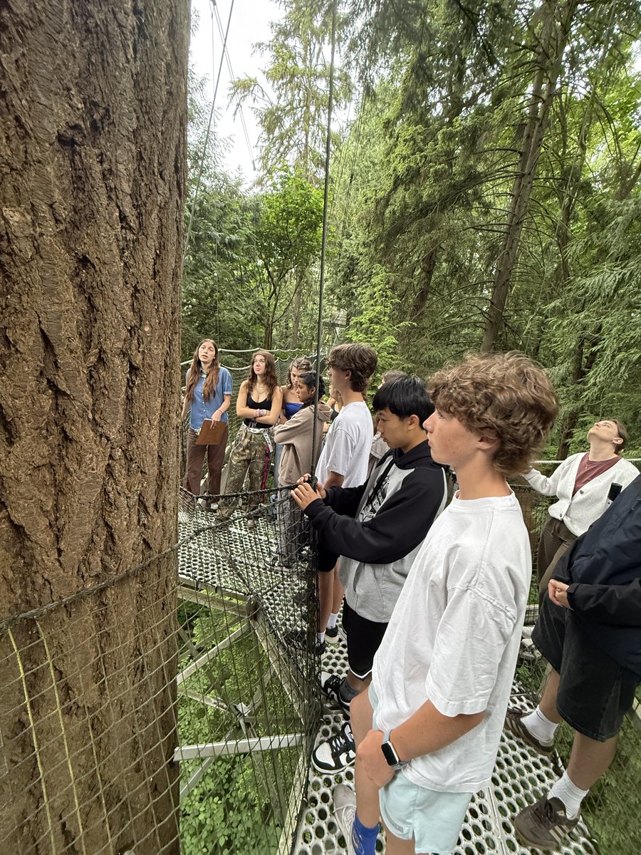 Up for a walk amongst the
treetops, anyone?
#Grade9Camp #YVRMeetYYC #CCS
