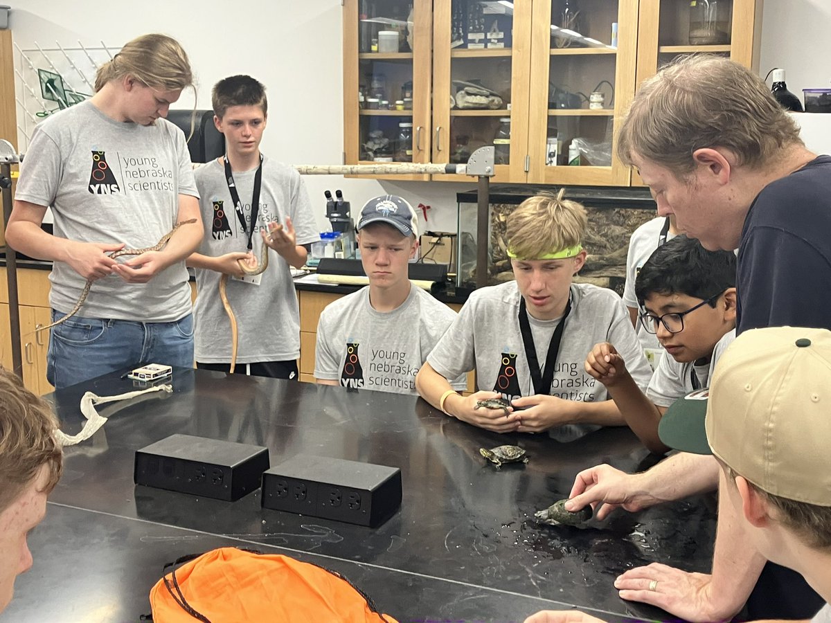 Nebraska EPSCoR (@nebraskaepscor) on Twitter photo Today at #YoungNebraskaScientists Explorations in Biology Camp, we got hands-on with reptiles 🐢🐍
Our YNS campers also loved yesterday’s blood type lab! Lots of #STEM career #inspo 🤩🥼🧪
Thanks to <a href="/NEWesleyan/">Nebraska Wesleyan University</a>, Prof. McKinney (camp leader), & @nsf funding! Today at #YoungNebraskaScientists Explorations in Biology Camp, we got hands-on with reptiles 🐢🐍
Our YNS campers also loved yesterday’s blood type lab! Lots of #STEM career #inspo 🤩🥼🧪
Thanks to <a href="/NEWesleyan/">Nebraska Wesleyan University</a>, Prof. McKinney (camp leader), & @nsf funding!