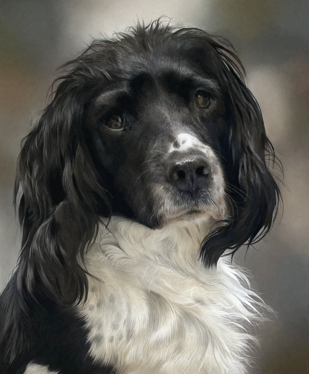 The incredibly sweet "Sophie" finished sadly another memorial piece. A lovely pooch to portray bless her RIP Sophie.
Pastel pencil and soft pastel on pastelmat, hope everyone's well 🙂.
#art #drawing #draw #drawingartworks #doglovers #dogart #pencilartwork #pencils #pencil #artsy