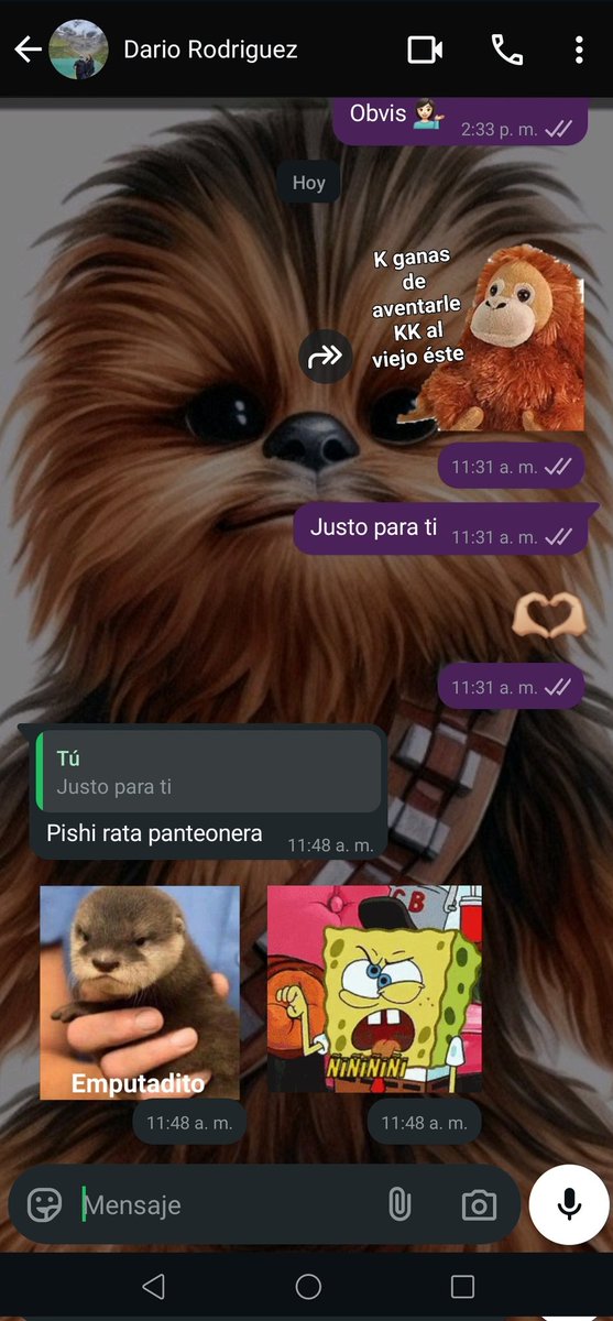 TERNURITA01's tweet image. #amiguitos 😅